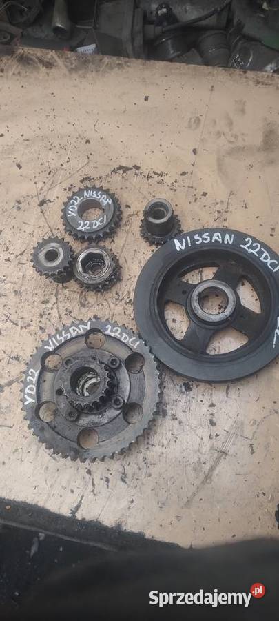 NISSAN PRIMERA XTRAIL 22DCI YD22 koło rozrządu Części samochodowe