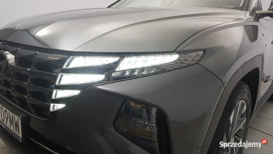 Hyundai Tucson 16 TGDi 48V Executive 2WD Z Warszawa