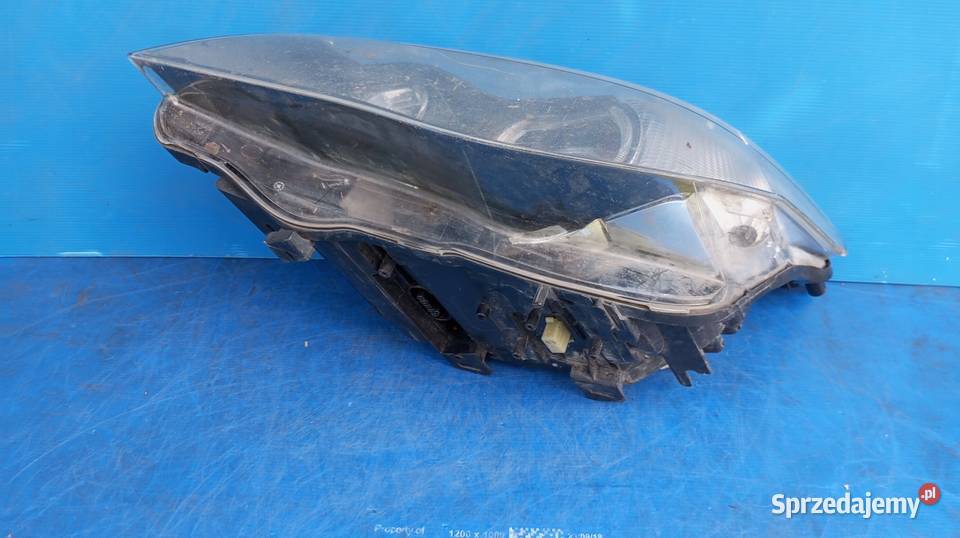 LAMPA LEWY PRZÓD EUROPA XENON DYNAMIC SKRĘTNY Lampy przednie wielkopolskie sprzedam
