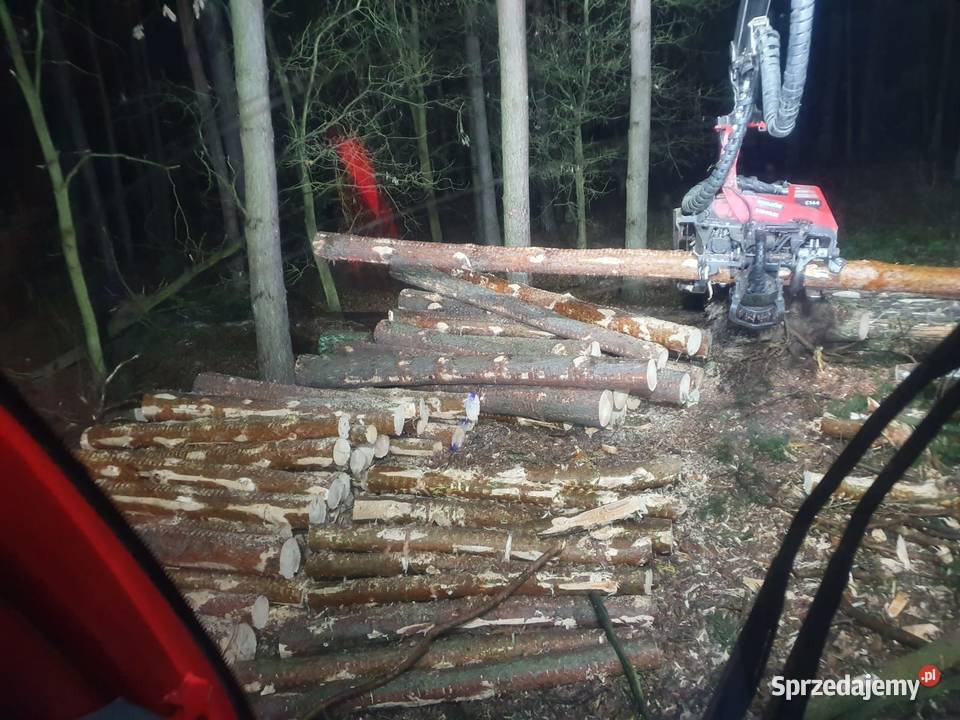 Przygotowanie terenu inwestycji Wycinka drzew Zielona Góra prace ogrodowe