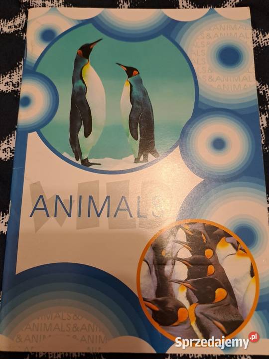 Zeszyt 60k linia animals dolnośląskie Wrocław sprzedam