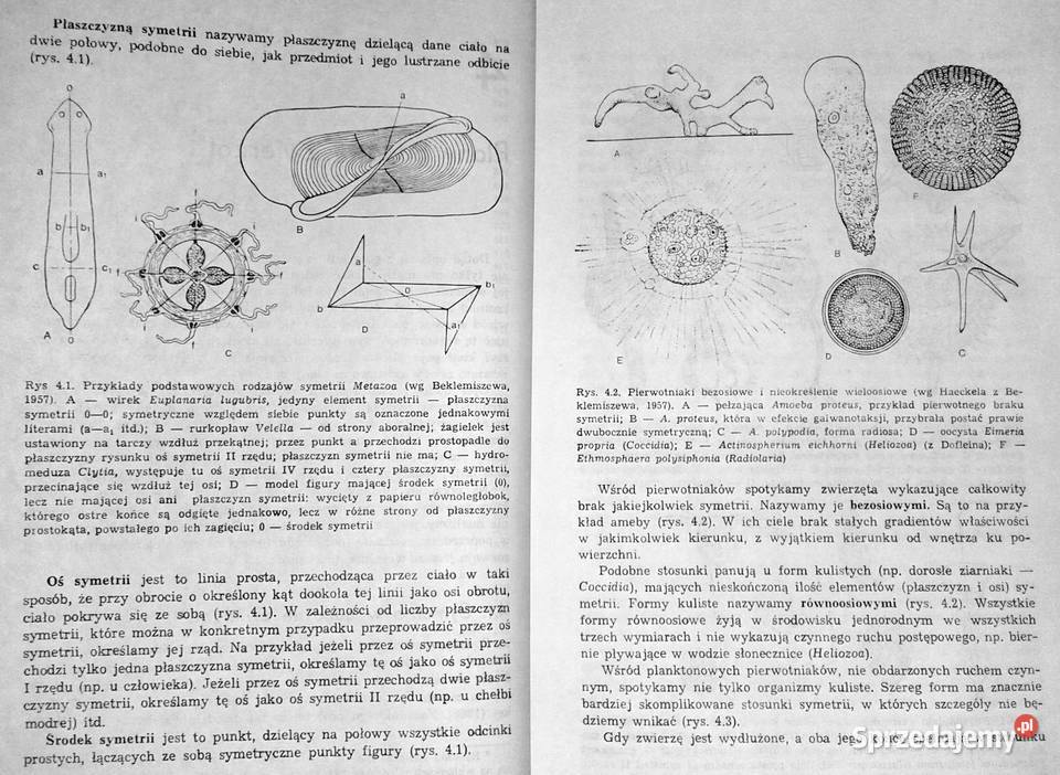 Zoologia Tom 1 Część ogólna B Aleksander Rajski Chełm