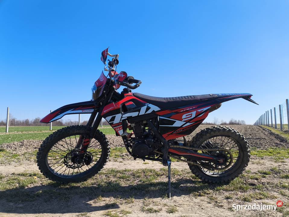 Asix xt97 Brzóza Królewska