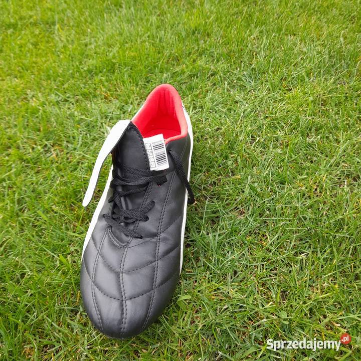 Korki Puma Mosty