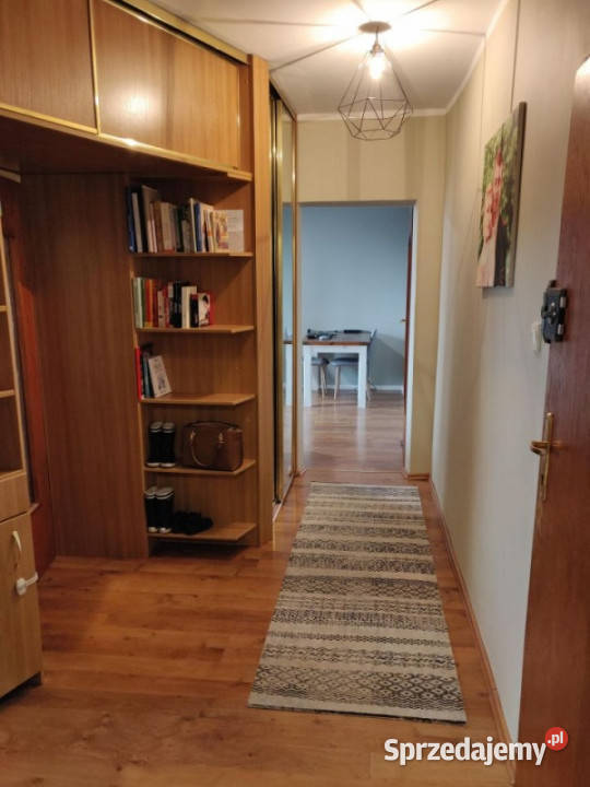 Mieszaknie z widokiem na Park Śląski Katowice