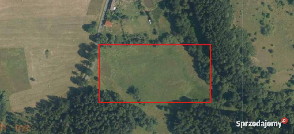 Działkę sprzedam Wilcza 18091 metrów