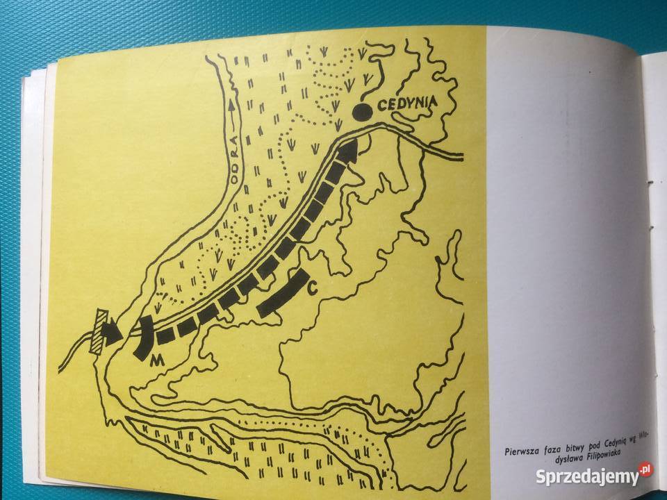 3471 Cedynia Tysiąclecie Zwycięstwa Antyki, Sztuka, Kolekcje