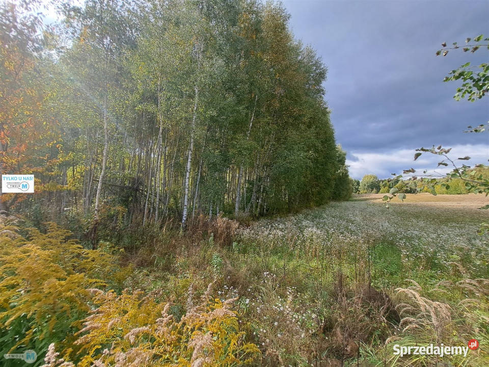 Ogłoszenie grunt 8879m2 Łagów sprzedam