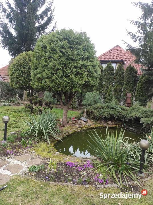 Usługi ogrodniczo dekarskie Warszawa