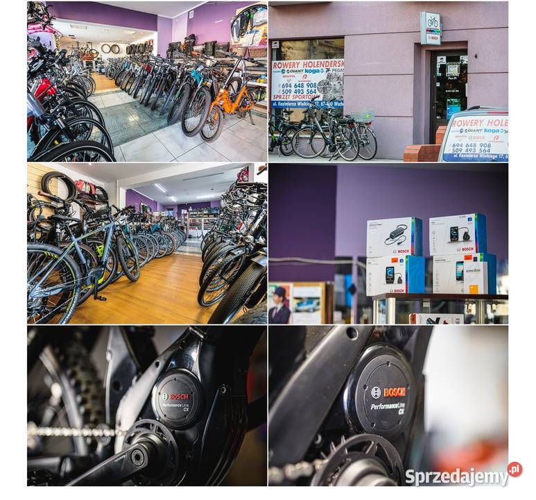 Pegasus E8 Bosch Performance Line CX Gwarancja
