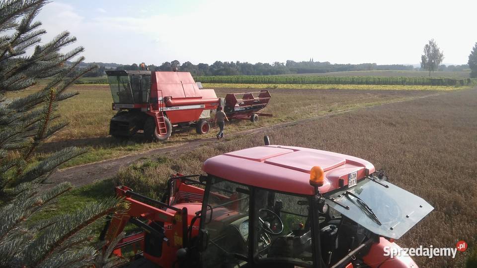 sprzedam kombajn Massey Ferguson 29 Kombajny lubelskie Zakłodzie