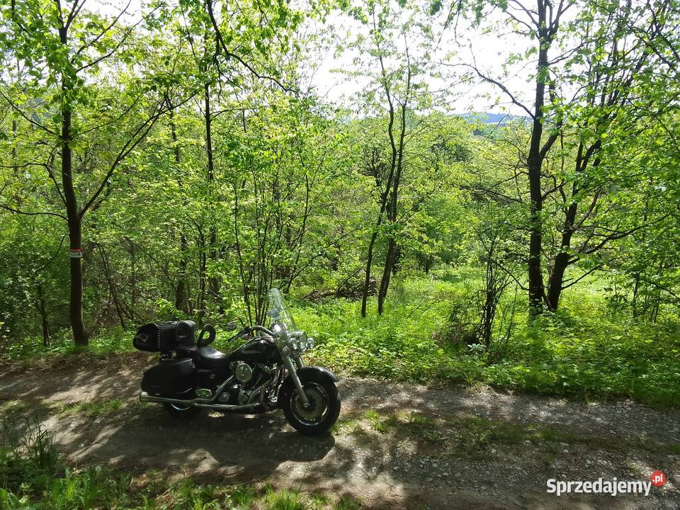 Harley Davidson FLHRSFLHRSI Road King Custom Czchów