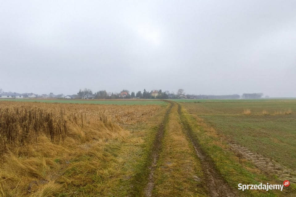 Działka 6900m2 Trawniki