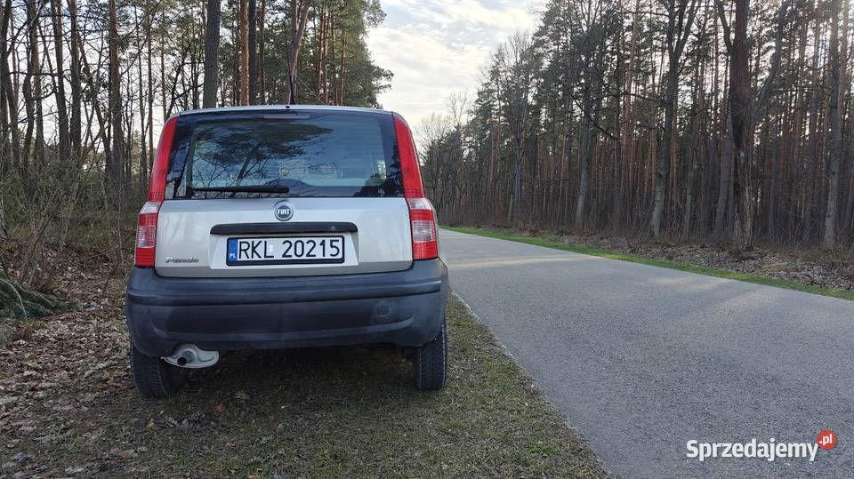 Fiat Panda 11 2004 r Niski przebieg Kolbuszowa