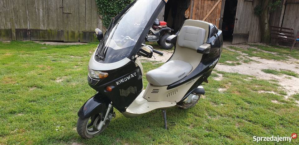 Kingway Poster czarny Cienia