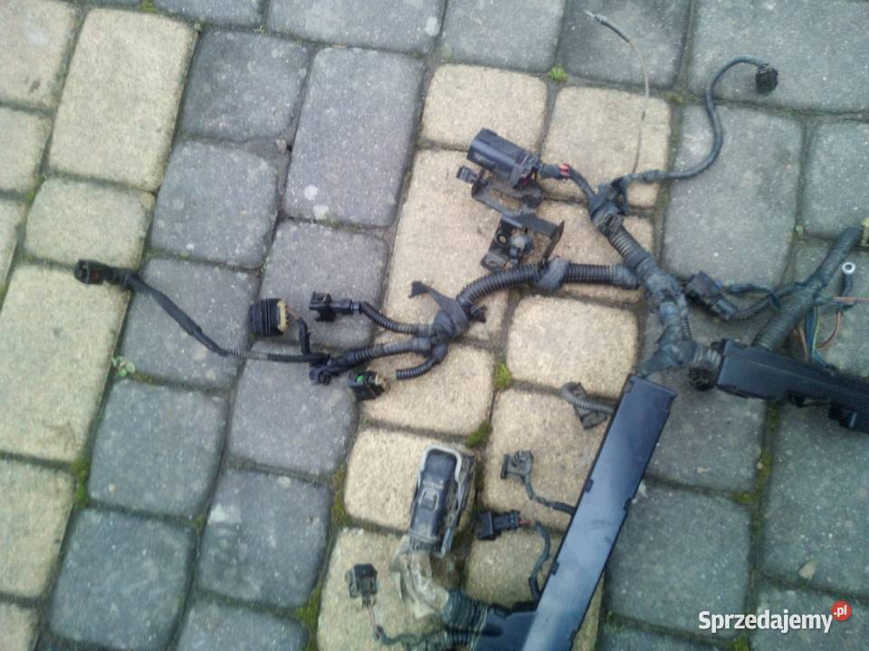Opel Vectra c wiązka silnika wtryskiwaczy18b Rok produkcji 2006 Hrubieszów sprzedam
