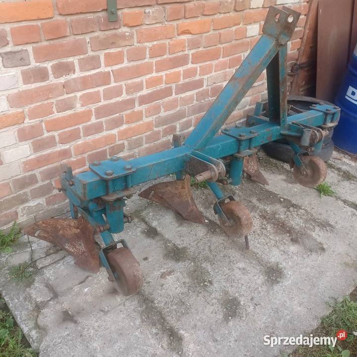Obsypnik lubelskie Piaski