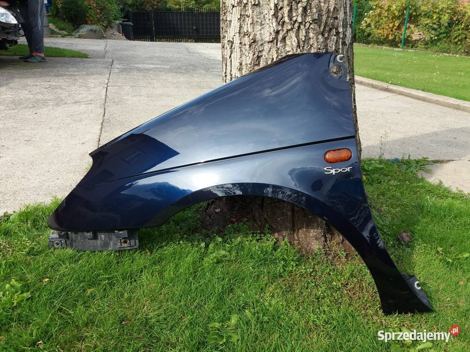 Części Renault Scenic 1 lift osobowe Motoryzacja Kraków