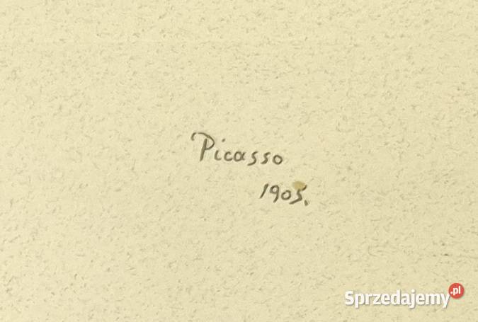 Pablo Picasso Portfolio 1988 edycja limitowana mazowieckie Siedlce