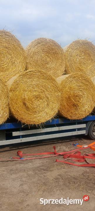 Siano słoma Trawy, słoma