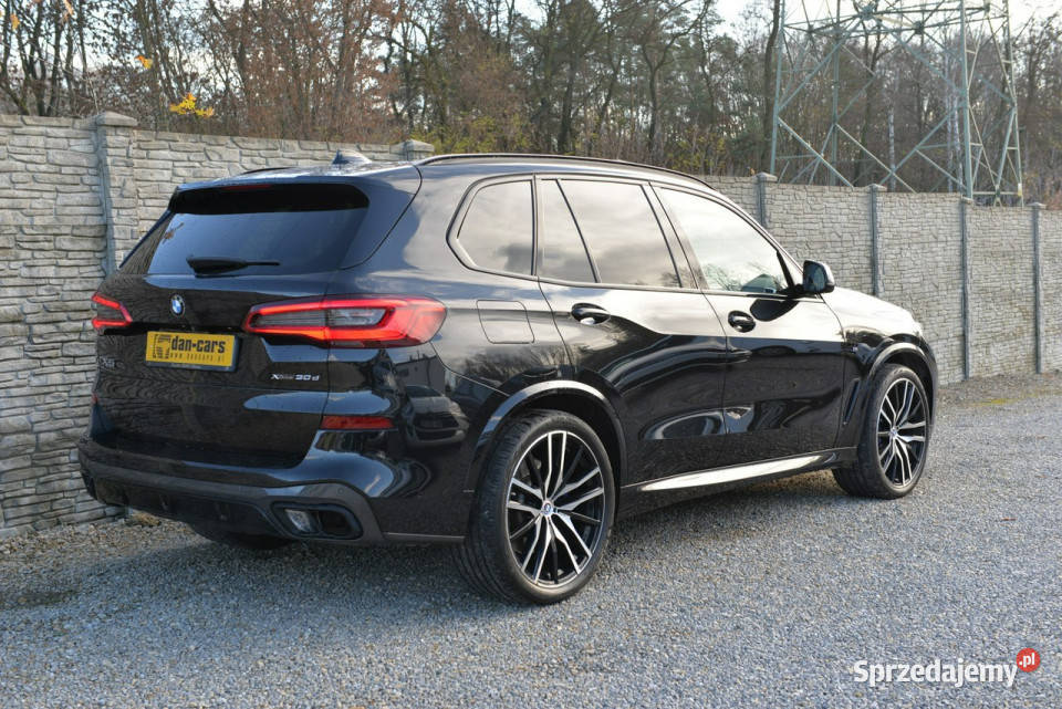 BMW X5 xDrive 30d Krajowy I właściciel kamera cofania Dąbrowa Górnicza