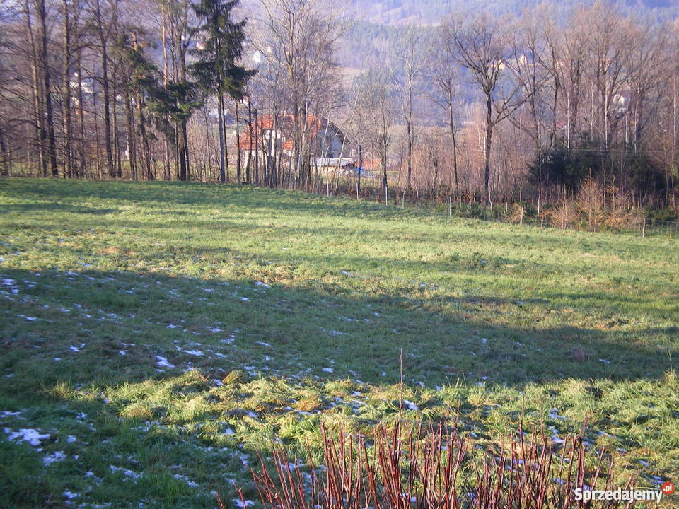DZIAŁKA 16ar LipoweLIMANOWA Limanowa