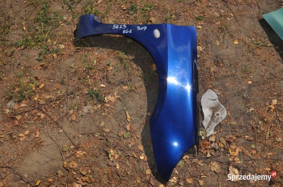 peugeot 307 błotnik kolor EGE 5623 WYSYŁKA osobowe
