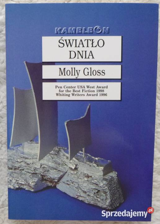 Światło dnia Molly Gloss Warszawa