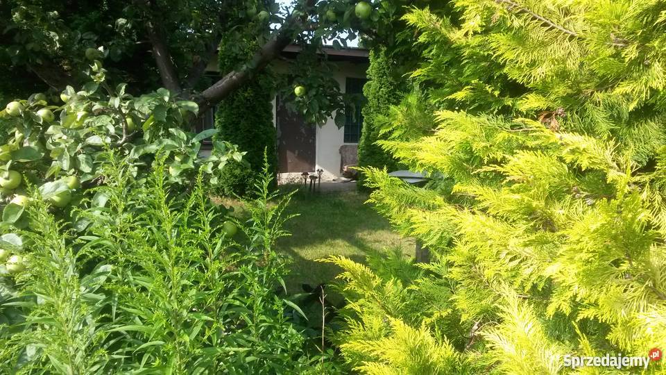 Dwie dzialki ogrodnicze z domkiem Pozostałe pomorskie Gdańsk