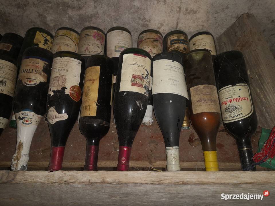 Wina Rawa Mazowiecka