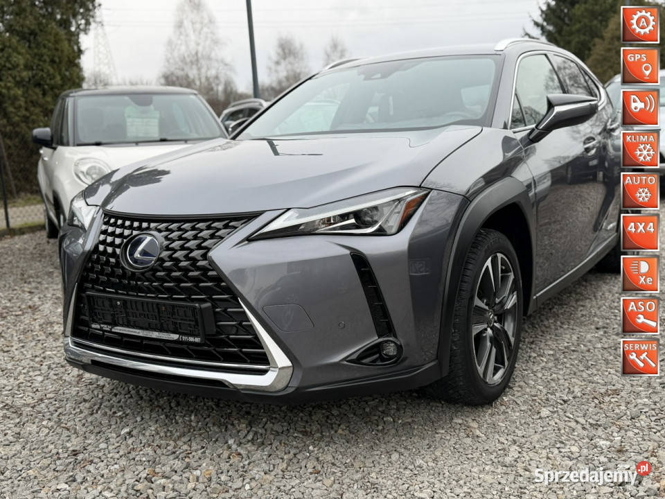 Lexus UX 250 Hybrid Ful LED Premium napęd 4x4 Łodygowice