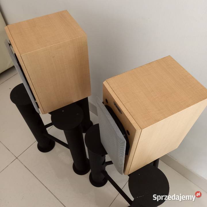 TANNOY MERCURY MX1 porcelana Słuchawki i głośniki lubelskie Zemborzyce Podleśne sprzedam