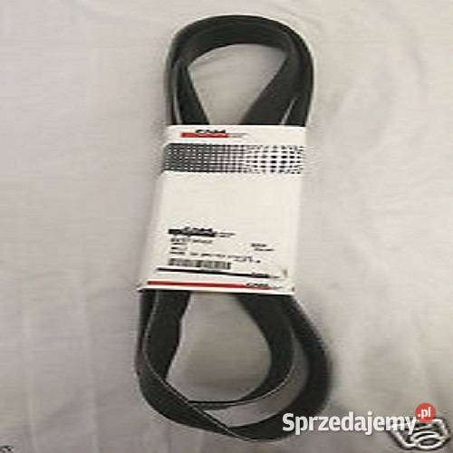 84373502 Pasek wieloklinowy CNH