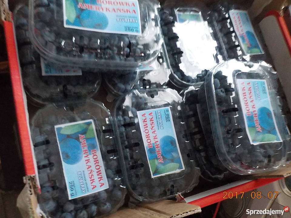 opakowania borowka amerykanska malina jagoda Rolnictwo Michałów
