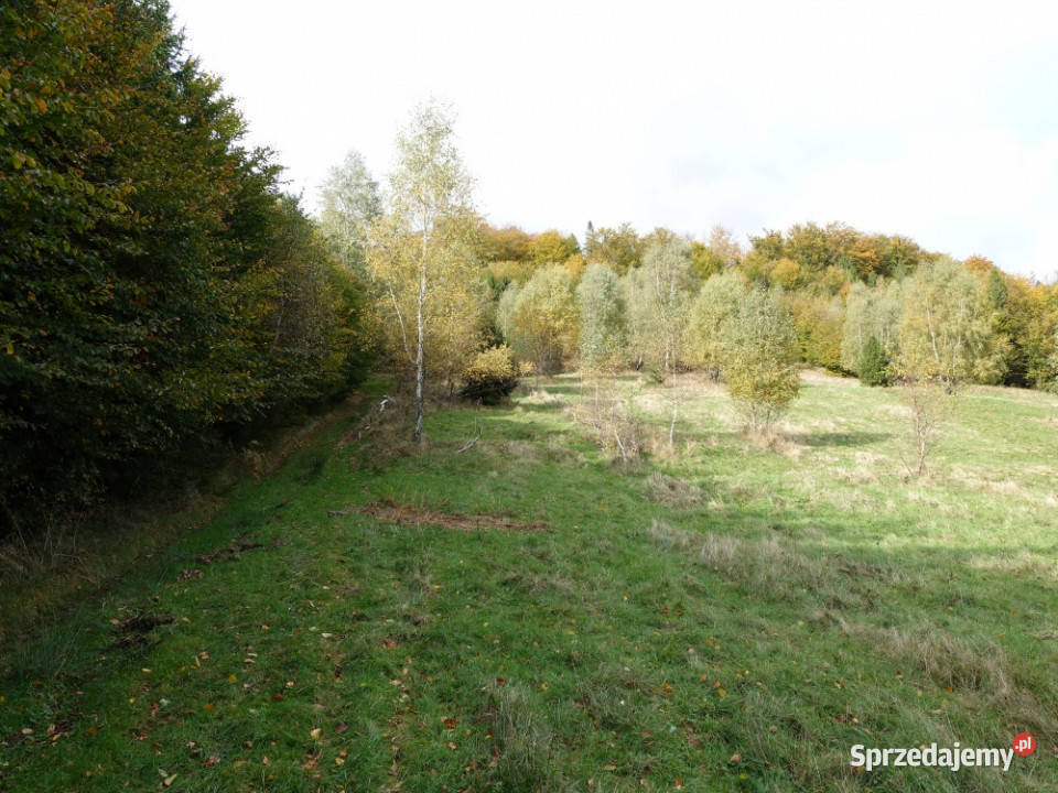 Brenna 253 ha pod inwestycje wyciągu orczykowego 25300m2 Bielsko-Biała