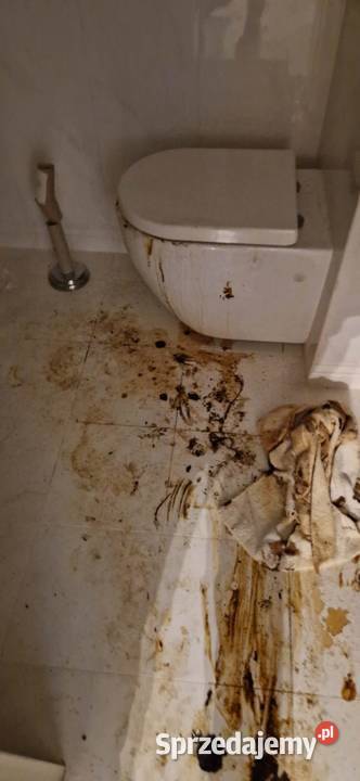 Ozonowanie pomieszczeń i Sterylizacja mazowieckie Sochaczew
