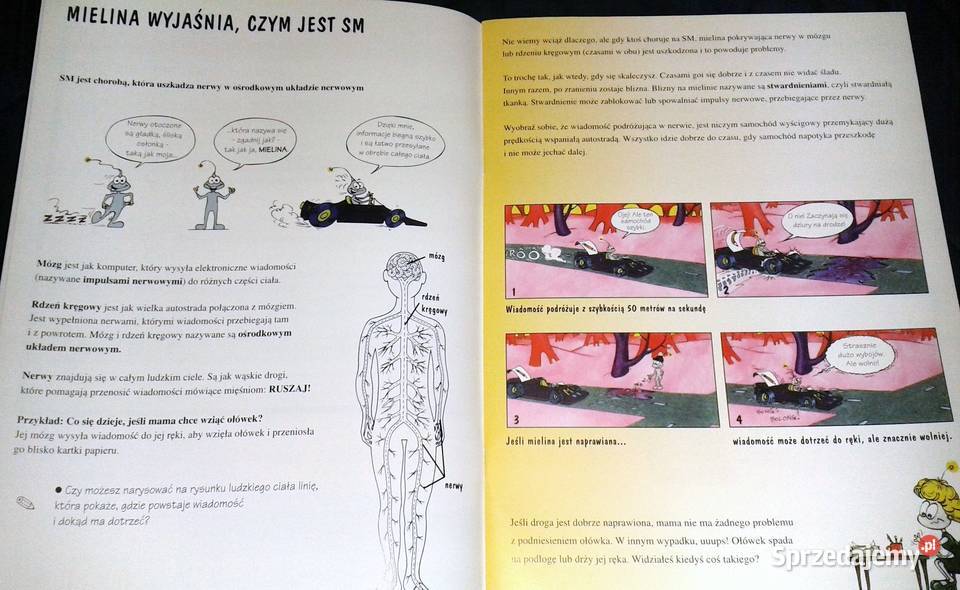 Mielina działa mi na nerwy Monique Devine Chełm