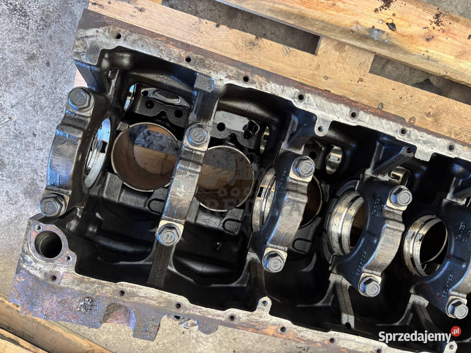 Cummins 6CT 6CT83 6C83 Blok Cylindra 5478882 Jastrzębniki