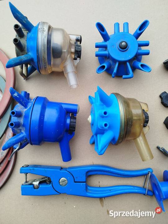 Kolektor kolczykownica poskrom kujawsko-pomorskie Strzelno sprzedam