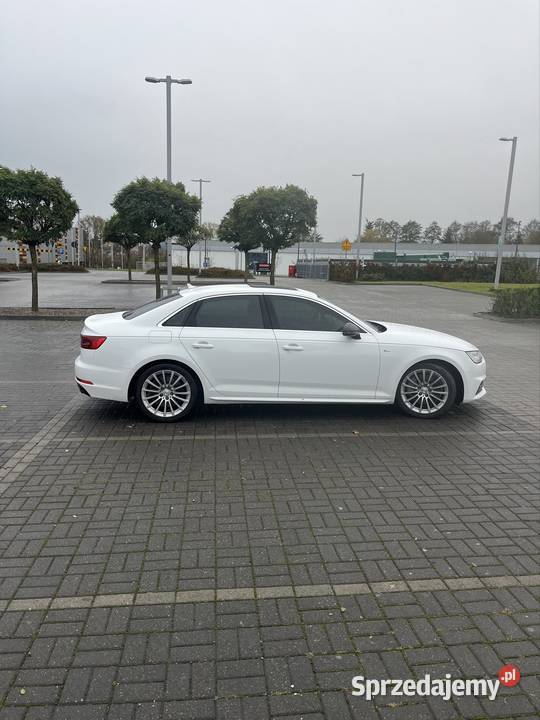Audi A4 B9 Quattro automat biały LY9C 100 Oborniki