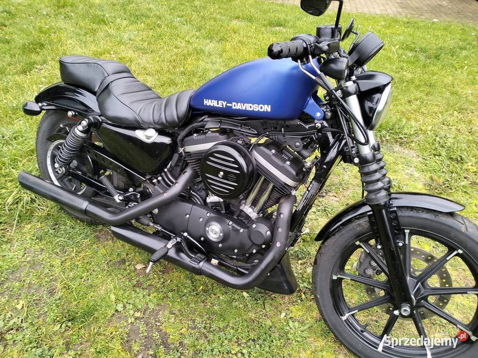 Harley Davidson sportster Iron