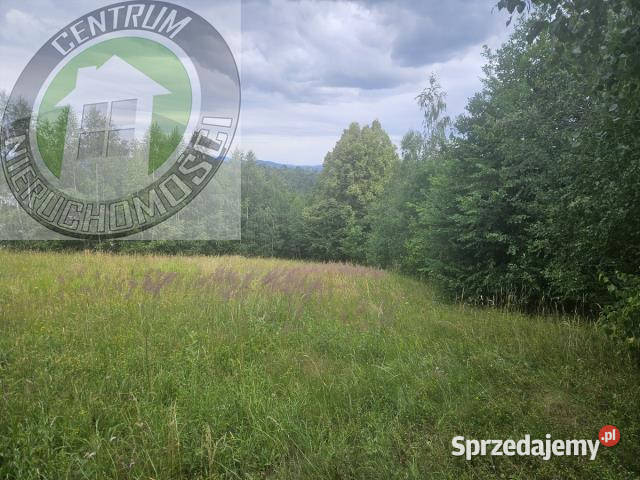 Działka Jamnica 1000m2 małopolskie