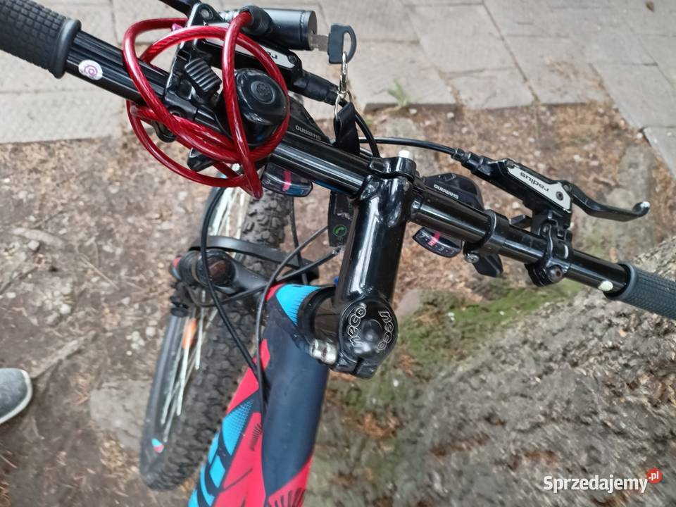 Rower MTB 29 Wołów