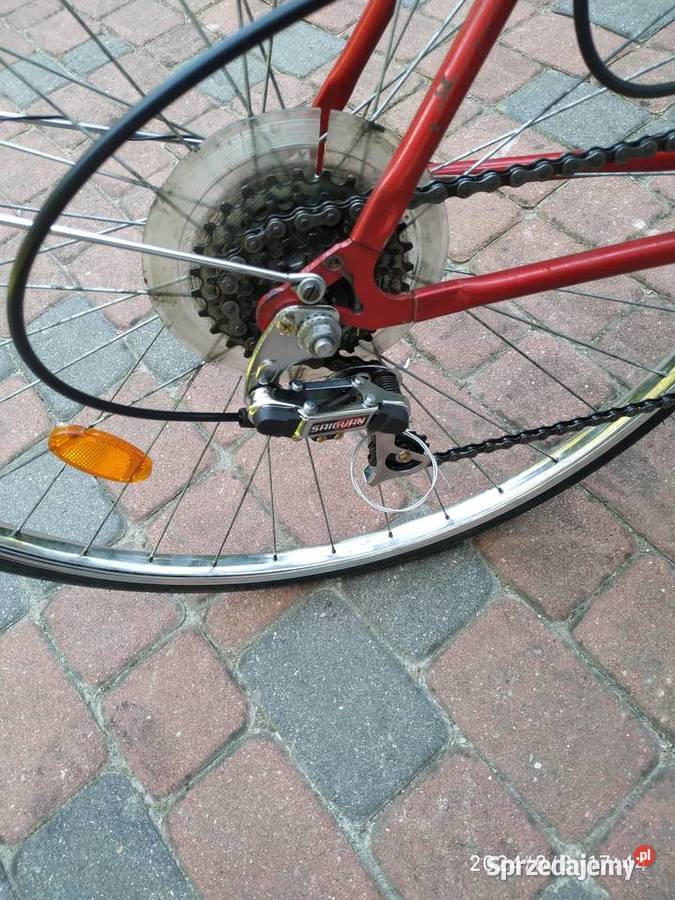 Rower damka Exclusive