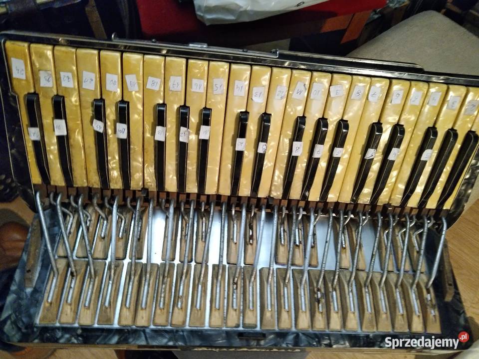 Polowka akordeonu 120bas Chorzów