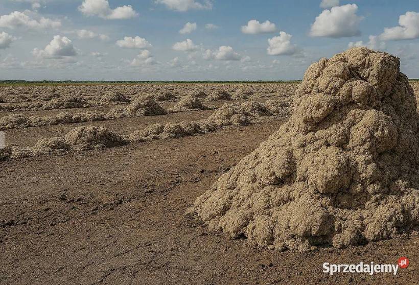 osady celuluzowe nawóz nawożenie gleby