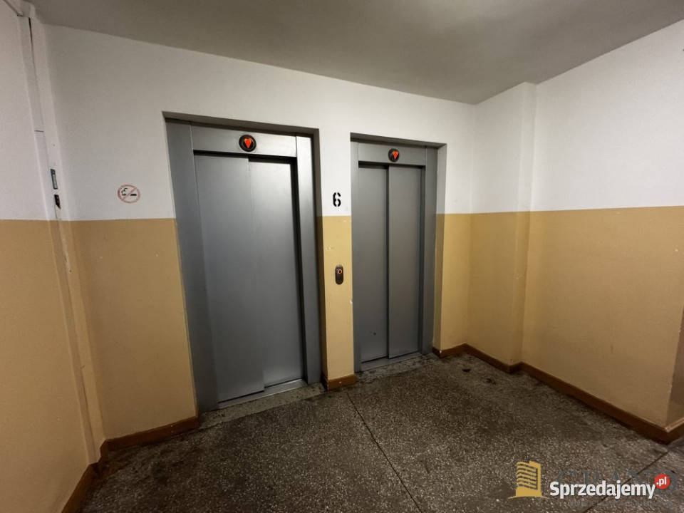 Mieszkanie 2554m2 1 pokój Szczecin Wyzwolenia sprzedam