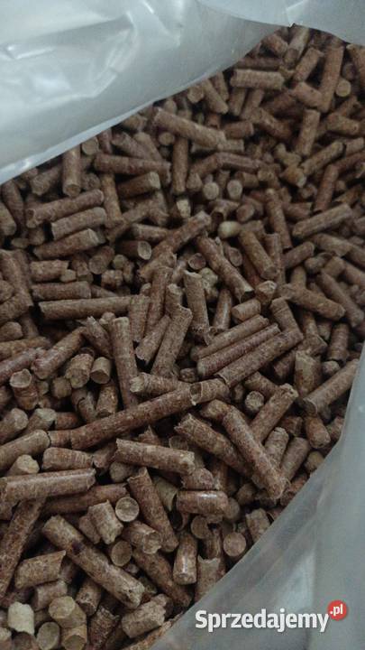 Pelleceiraka 11kw Maszyna do produkcji pelletu 3 Więcbork
