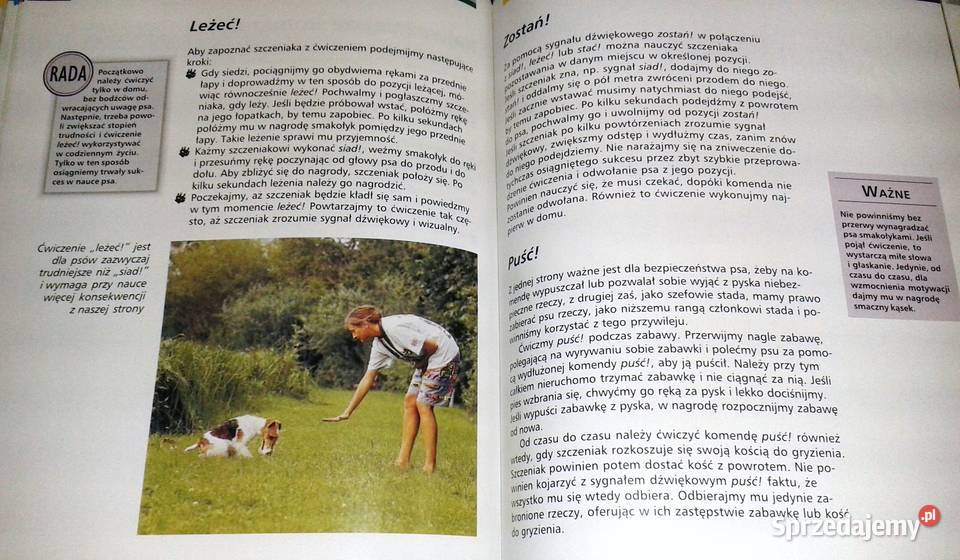 Szczenięta Heidi Rogner lubelskie Chełm