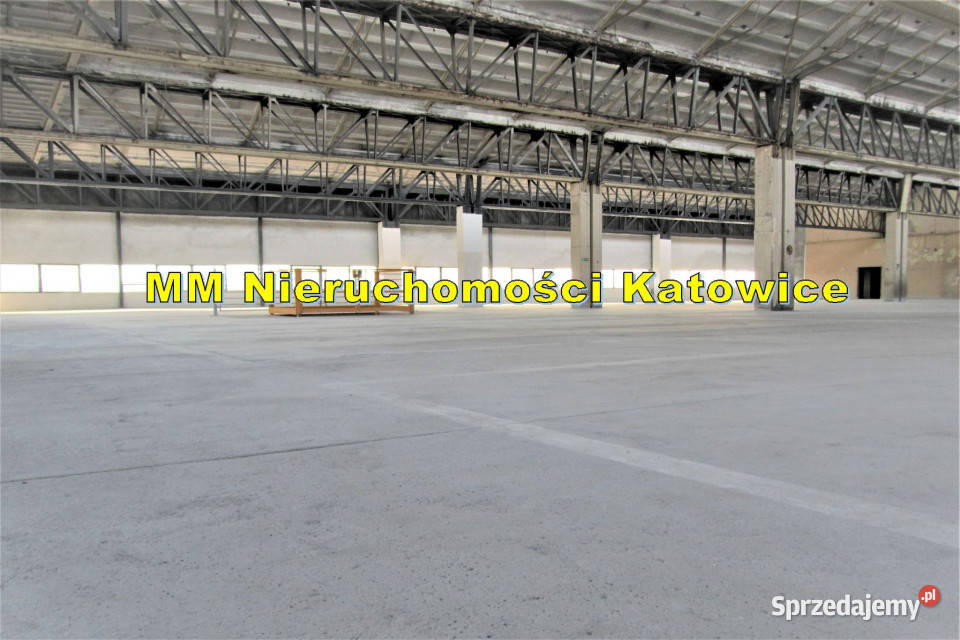 Magazyny do wynajęcia 200 do 2000 m2 możliwa Wynajem sprzedam